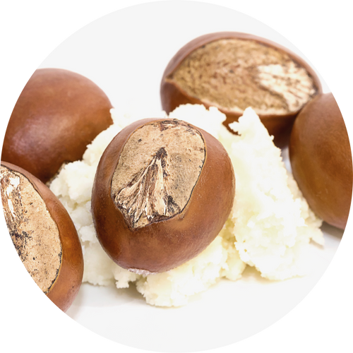 SHEA BUTTER