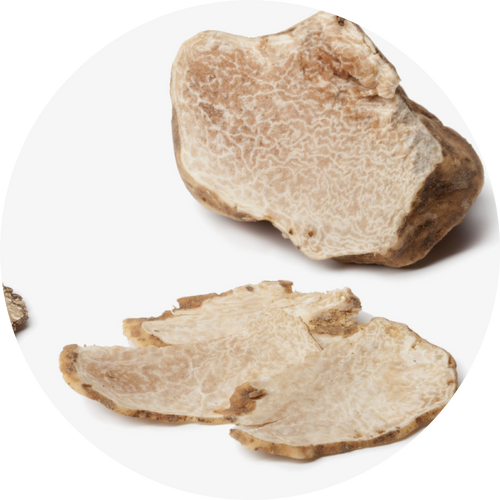 WHITE TRUFFLE
